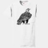 Authentic 100% Cotton T Shirt with Pocket Thumbnail