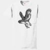 Authentic 100% Cotton T Shirt with Pocket Thumbnail